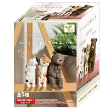 Load image into Gallery viewer, Yell Sleeping Together - Sleepy Animals Blind Box - MAIDO! Kairashi Shop