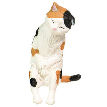 Load image into Gallery viewer, Yell Sleeping Together - Sleepy Animals Blind Box - MAIDO! Kairashi Shop