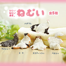Load image into Gallery viewer, Yell Sleepy Still Sleepy Blind Box - MAIDO! Kairashi Shop