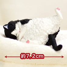 Load image into Gallery viewer, Yell Sleepy Still Sleepy Blind Box - MAIDO! Kairashi Shop