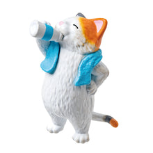 Load image into Gallery viewer, Yell Blind Box Totonoimashita / After Sauna Animals - MAIDO! Kairashi Shop