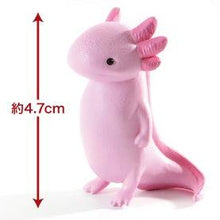 Load image into Gallery viewer, Yell Emptiness Animals - Kyomu - 3 Blind Box - MAIDO! Kairashi Shop