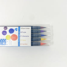 Load image into Gallery viewer, AKASHIYA Watercolor Brush Pen Sai 5 Color Set - MAIDO! Kairashi Shop