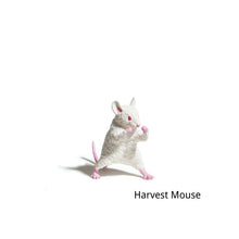 Load image into Gallery viewer, Yell I Won't Be A Loser! Blind Box - MAIDO! Kairashi Shop
