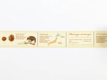 Load image into Gallery viewer, mt Ex Flying Squirrel 30mm - MAIDO! Kairashi Shop
