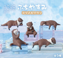 Load image into Gallery viewer, Yell Blind Box Fuchiyasumi Small-Clawed Otter - MAIDO! Kairashi Shop
